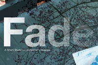 Mfadt thesis 2015 image